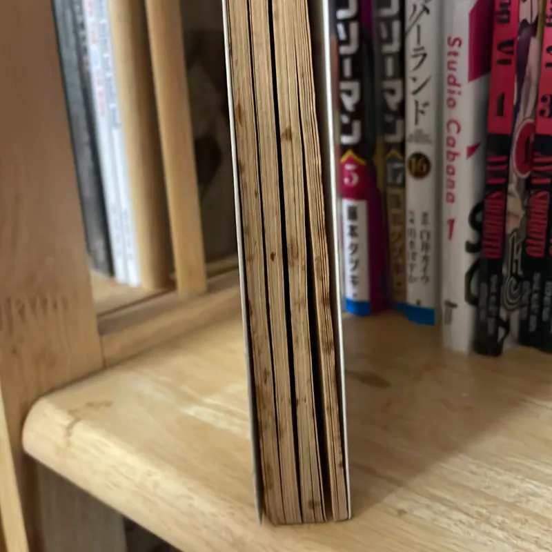 Dấu ấn 12 con giáp 975077