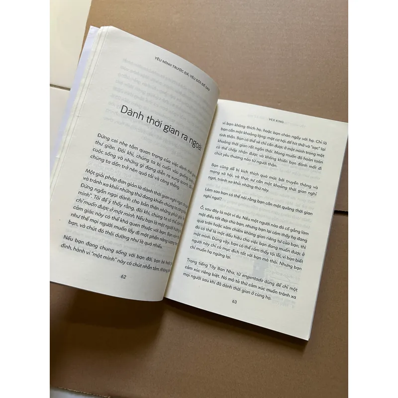 Yêu trước đã, yêu đời sau - VEX KING 731593