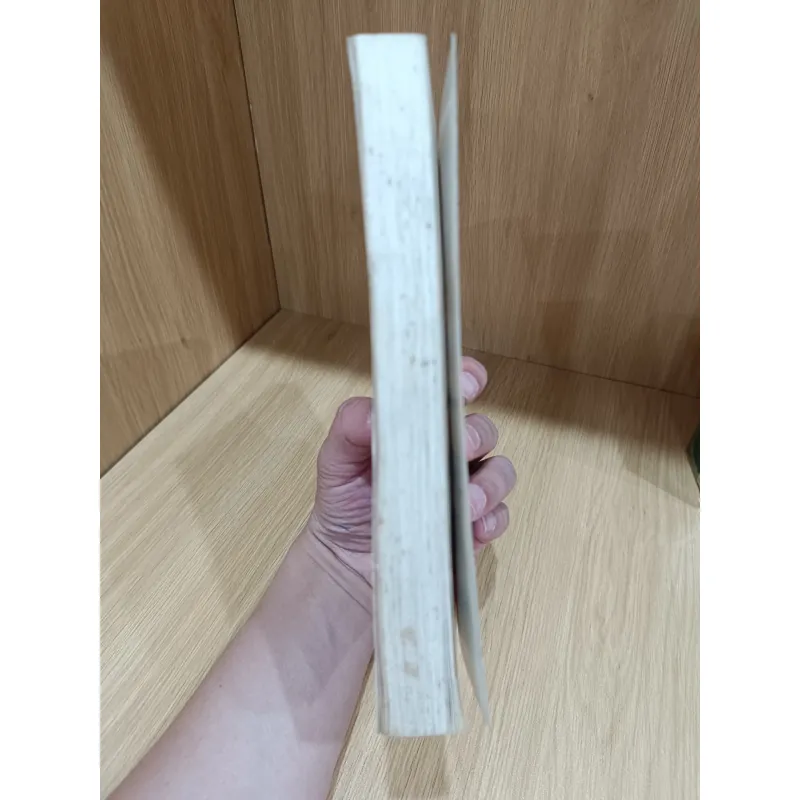 Điện Biên Phủ điểm hẹn lịch sử - hồi ký đại tướng Võ Nguyên Giáp  1046075