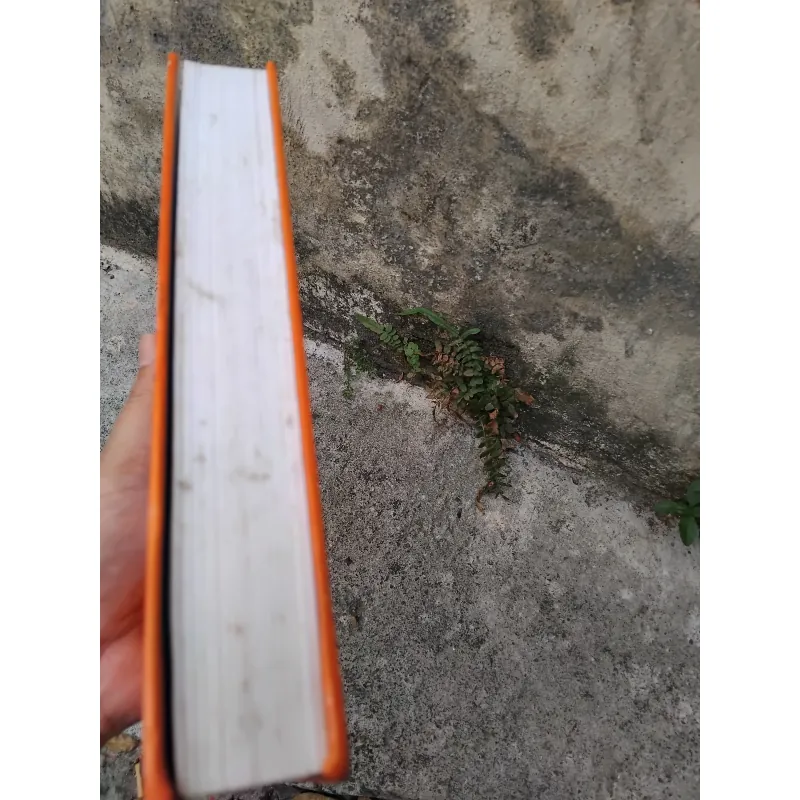 Kể chuyện nối thời gian - Lịch sử họ Ngô ở Việt Nam  1005731