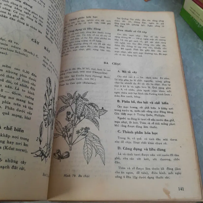 NHỮNG CÂY THUỐC VÀ VỊ THUỐC VIỆT NAM - Đỗ Tất Lợi 406076