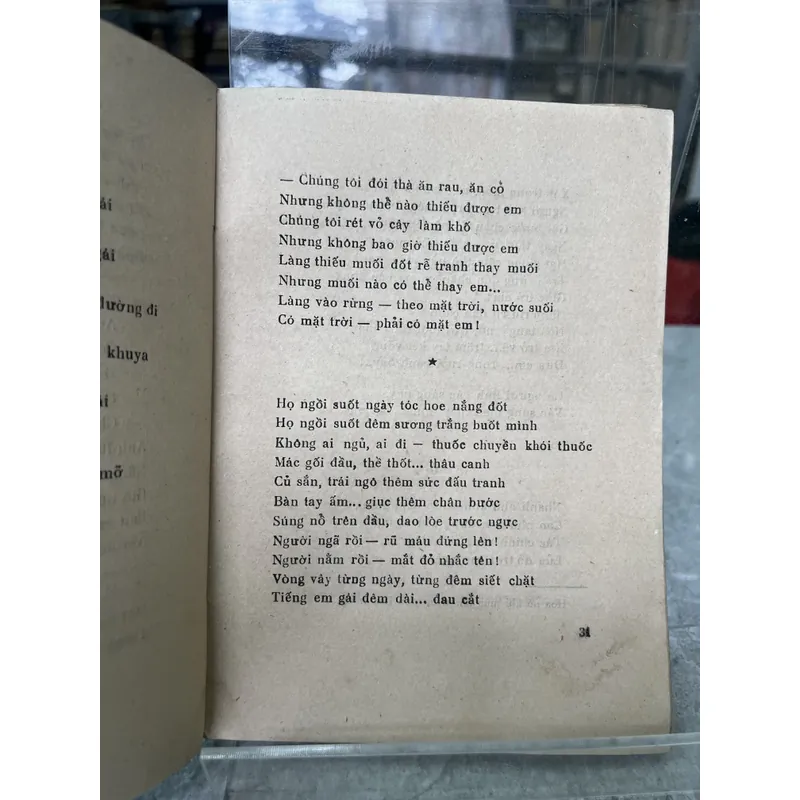 LỬA SÁNG RỪNG 704016