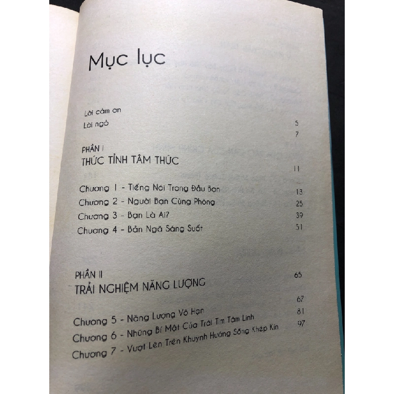 Cởi Trói Linh Hồn - Cuốn Sách Giúp Người Đọc Vượt Qua Giới Hạn Của Chính Mình 2018 mới 80% ố vàng nhẹ Michael A. Singer HPB2307 KỸ NĂNG Oreka-Blogmeo 190627