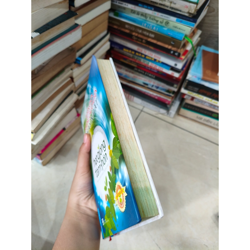 Tuyển chọn những câu chuyện hay nhất - hạt giống tâm hồn 🌱 507216