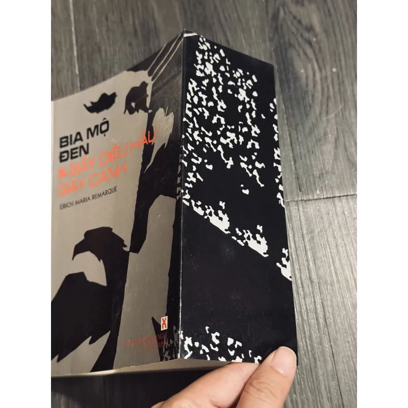 Combo E.M. Remarque 596375