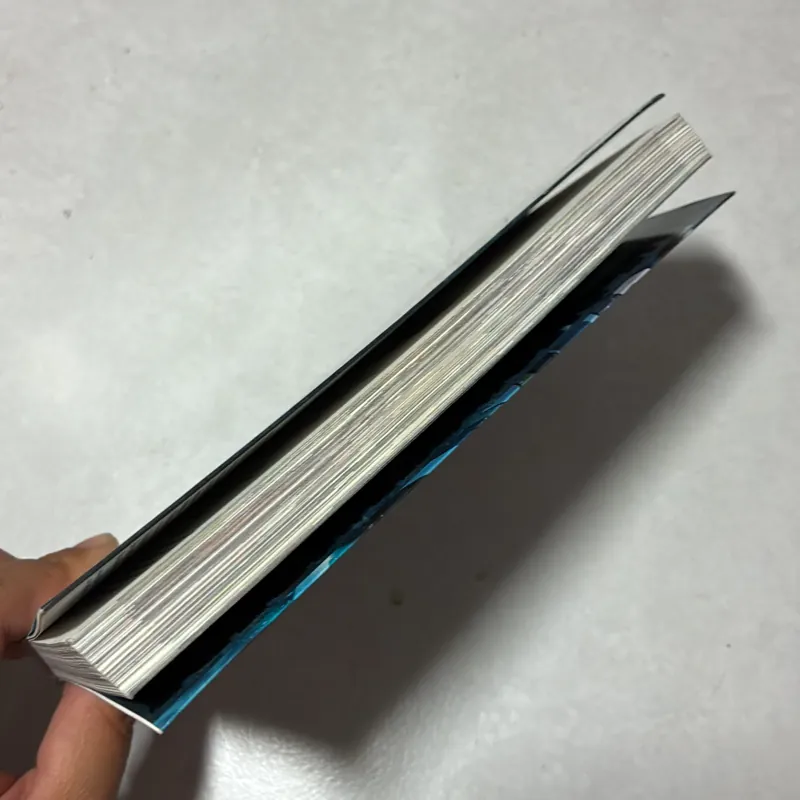 One piece Stampede 2 996676