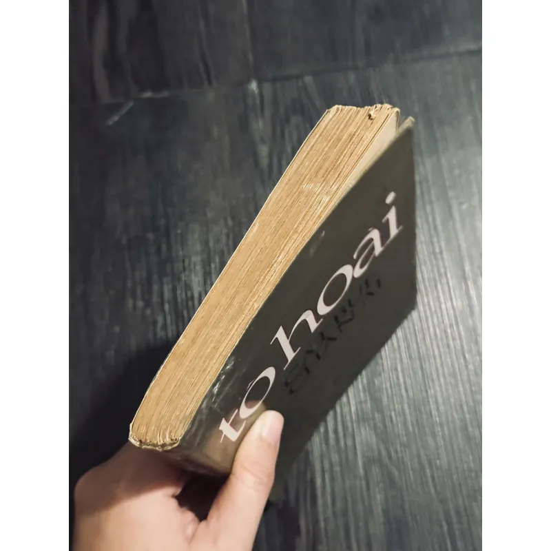 Cát bụi chân ai - Tô Hoài 684446