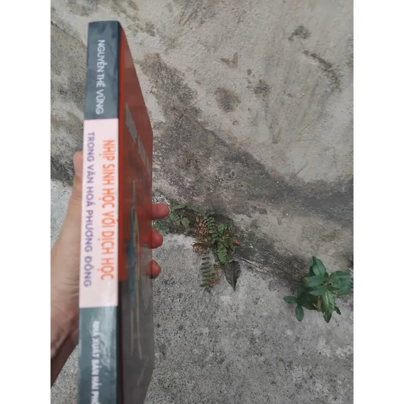 Nhịp sinh học với Dịch học trong văn hóa phương Đông  1022856