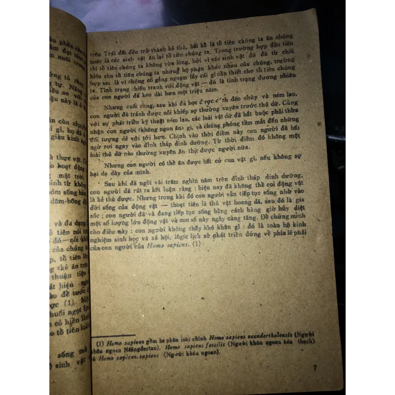 Nói chuyện chăn nuôi - Novikov 1046180