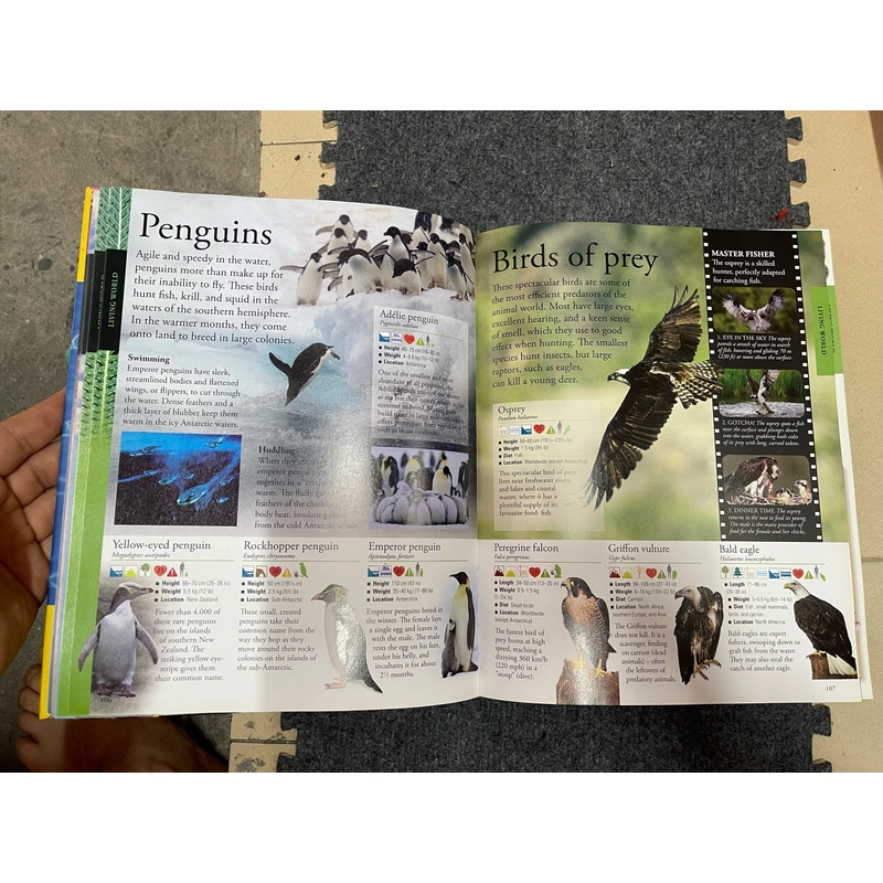 The New Children's Encyclopedia 462050