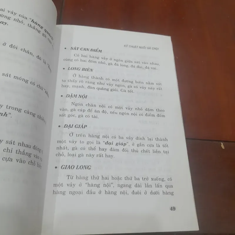 Kỹ thuật NUÔI GÀ CHỌI 565219