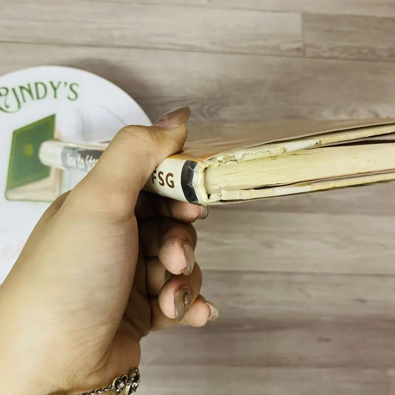 [Sách 2hand từ US] Like new 90% - How to Steal a Dog – Barbara O'Connor 991519