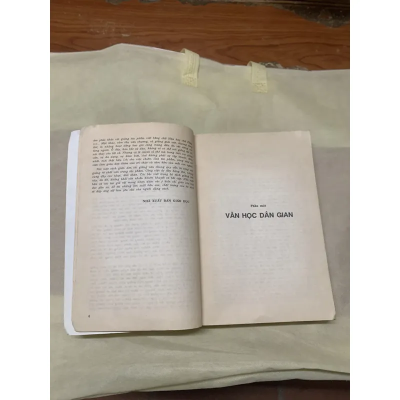 GIẢNG VĂN VĂN HỌC VIỆT NAM 738978