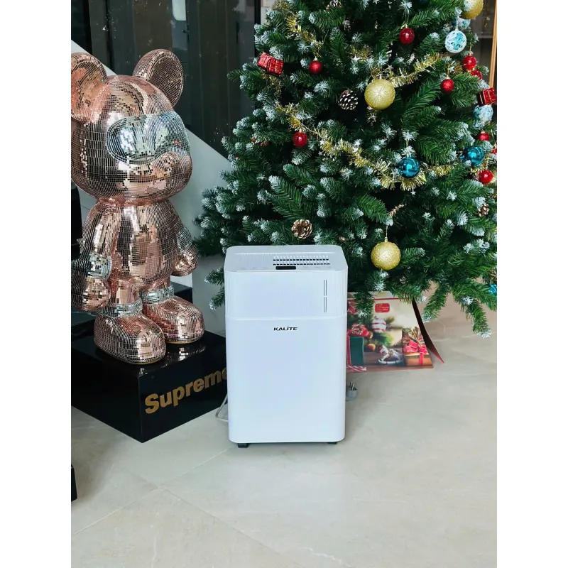 ✨ Máy hút ẩm Kalite DrySense A6 – Dễ sử dụng, an toàn, phù hợp gia đình có trẻ nhỏ! 730758