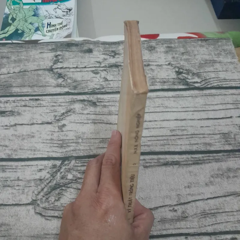 Kỹ thuật trồng tiêu. Chủ biên Phan Hữu Trinh. NXB Nông nghiệp 1988 695444