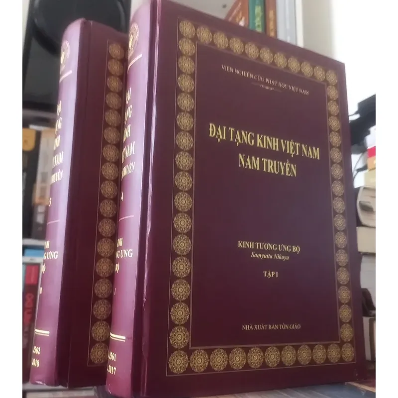 Nikaya - Kinh Tương Ưng Bộ (bộ 2 quyển) 553024