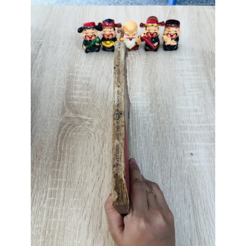 KHÚC CA VÀO CHIẾN DỊCH 931969