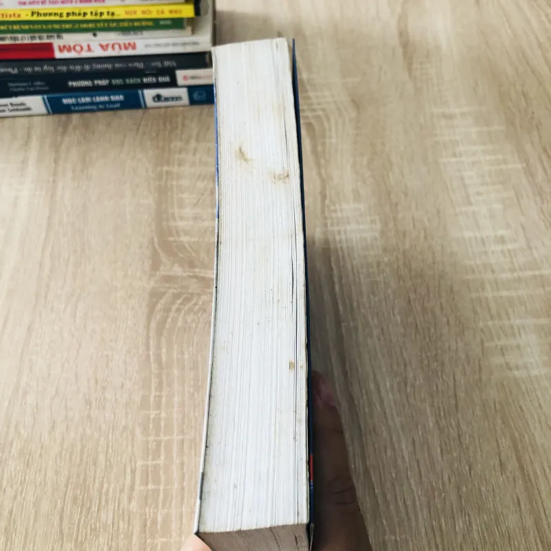 SÓI GIÀ PHỐ WALL 1022316