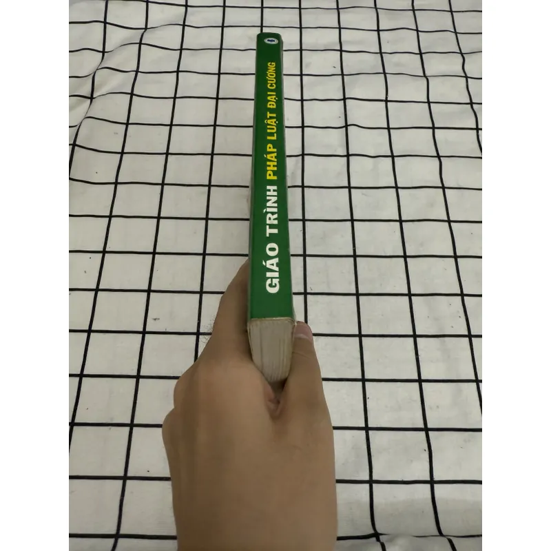 Giáo trình Pháp Luật Đại cương  656249