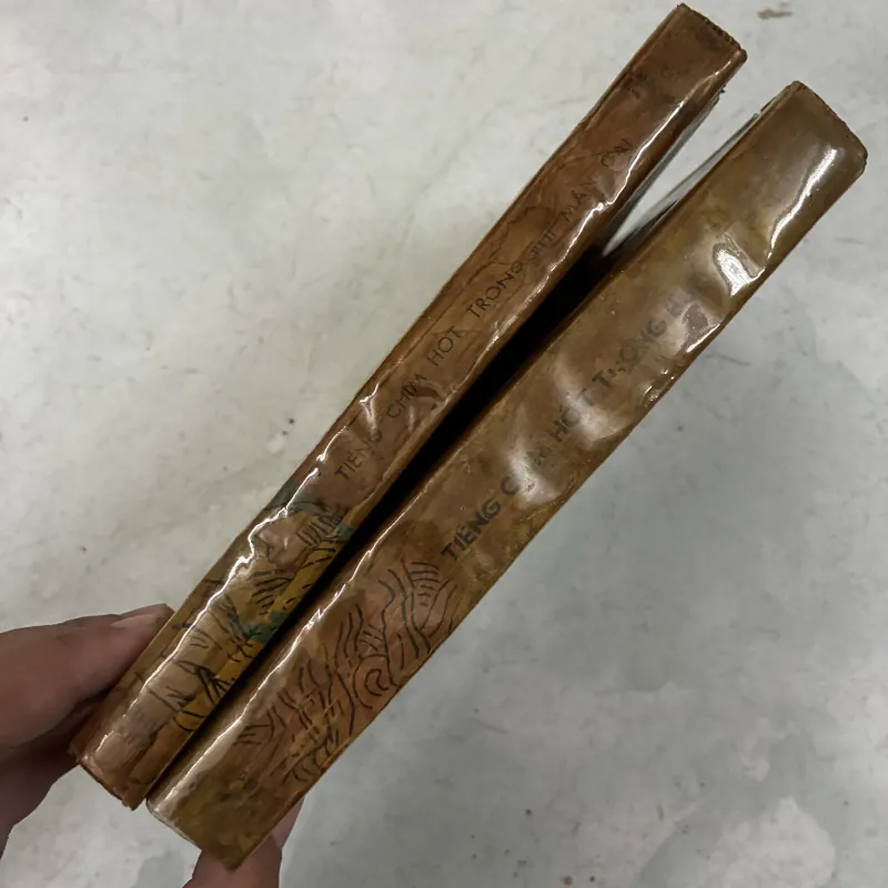 Tiếng chim hót trong bụi mận gai (Tập 1 + 2) 1024604