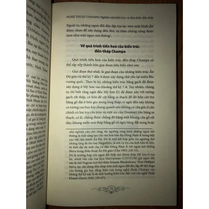 Nghệ thuật Chăm Pa - Nghiên cứu kiến trúc và điêu khắc đền-tháp 642594