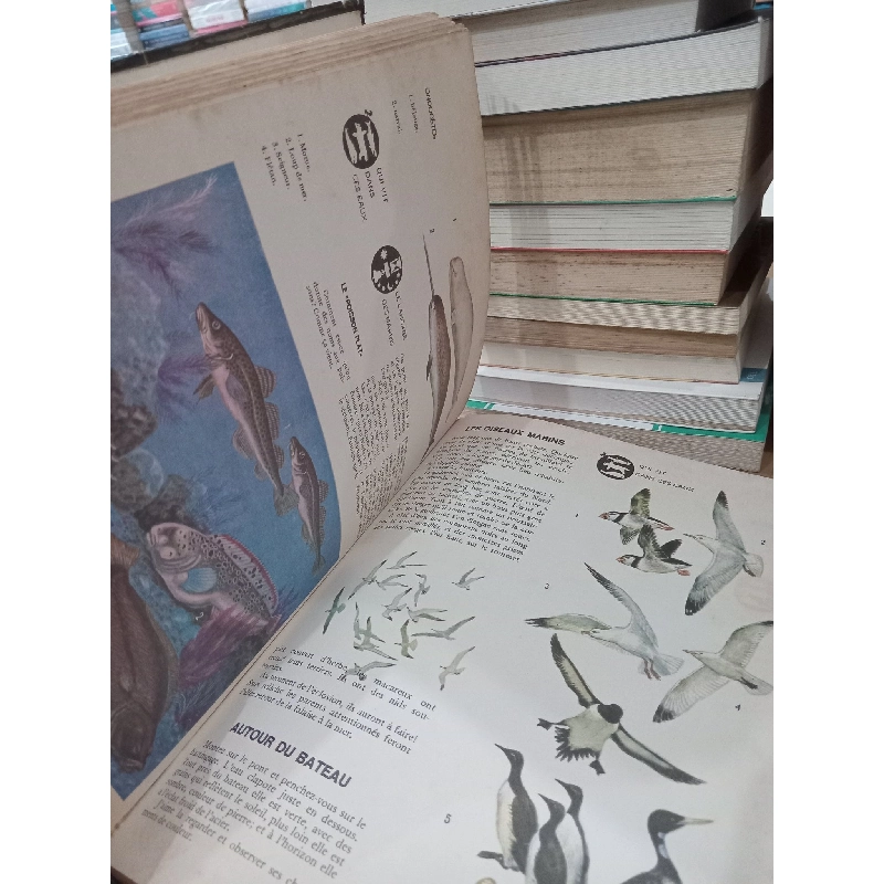 Tour du monde A travers les mers - S. Sakharnov 758738