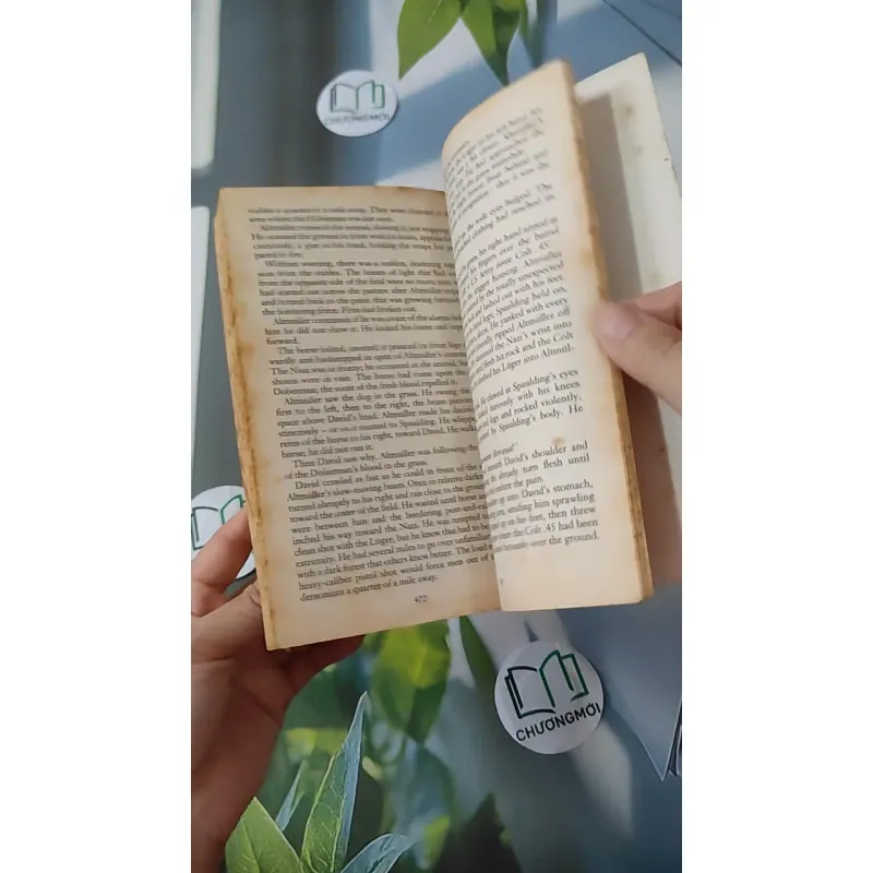 The Rhinemann Exchange - Robert Ludlum 1027201