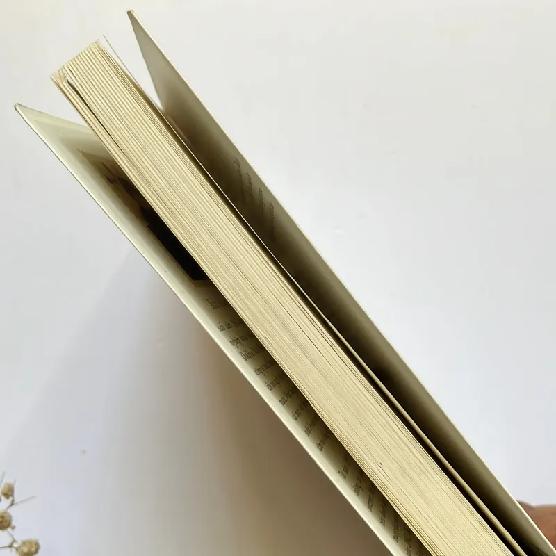 Nơi em quay về có tôi đứng đợi – Ichikawa Takuji 564219