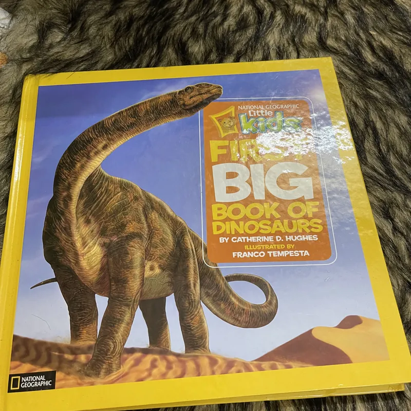 DIRST BIG Book of DINOSAURS 691069