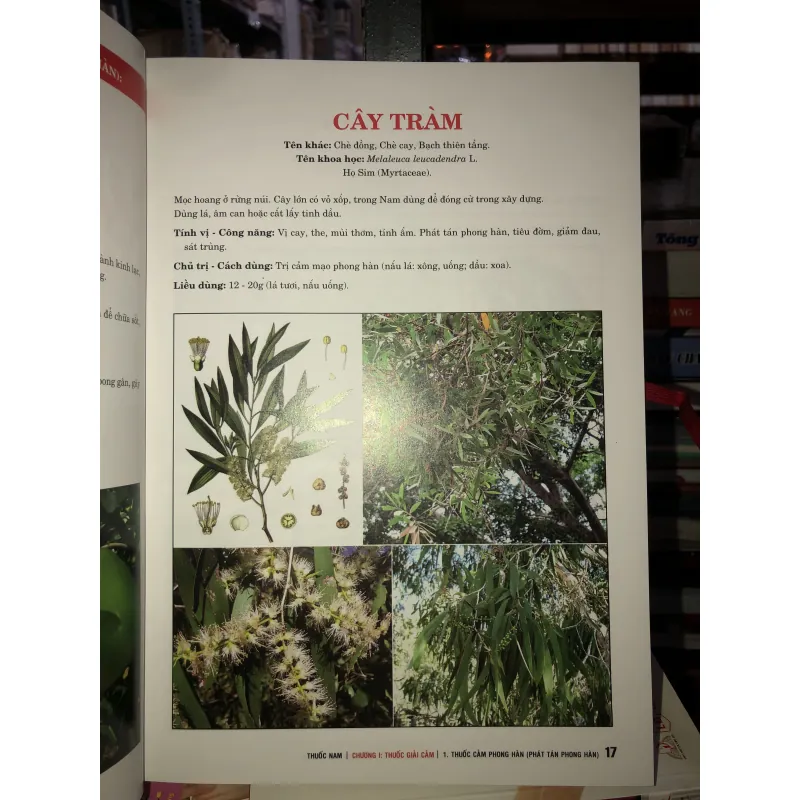 Thuốc Nam - Lương y Nguyễn Công Đức 763835