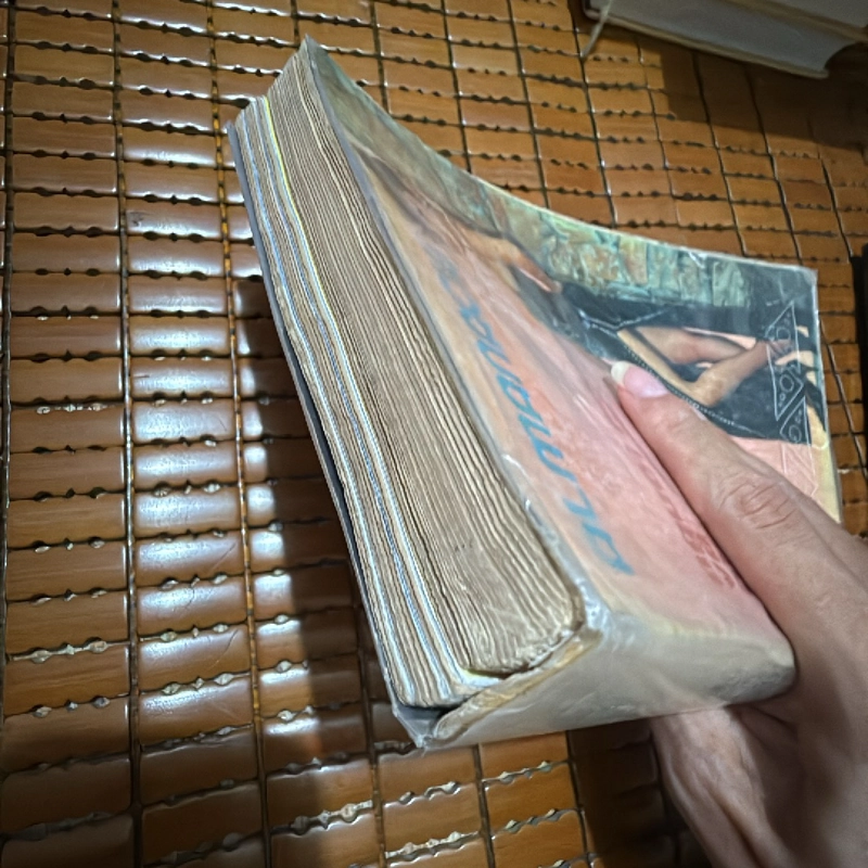 Người mẹ và phái đẹp 465683