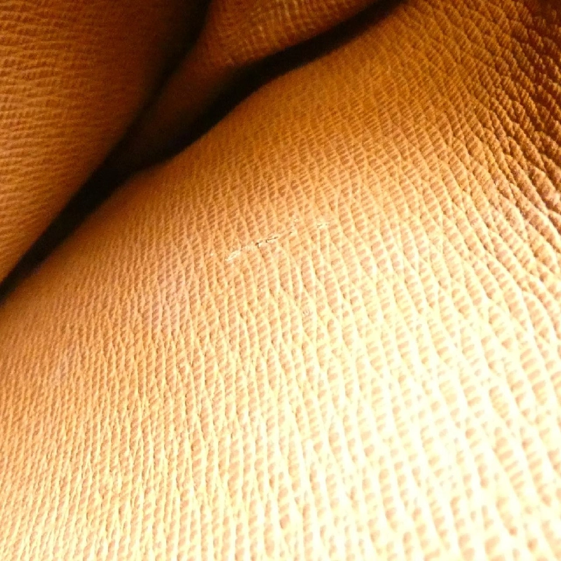 Túi xách vai Louis Vuitton Monogram Danube M45266 611125