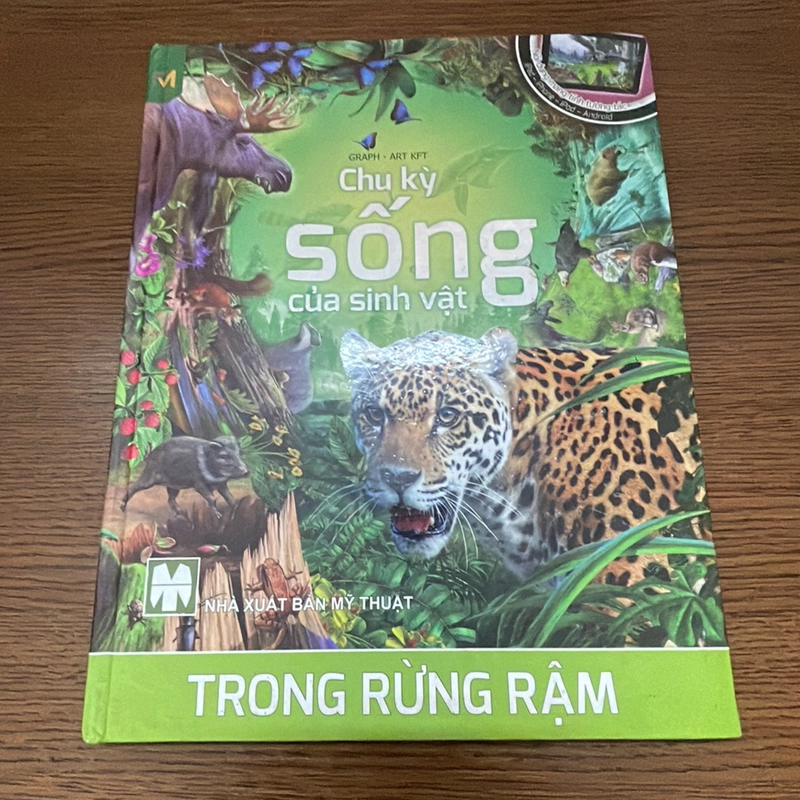 Chu kỳ sống của sinh vật trong rừng rậm 357832