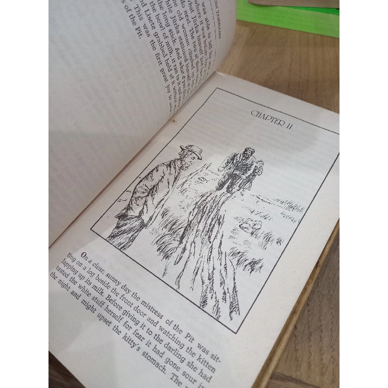 The Misadventures of the New Satan - Anton Tammsaare 191328