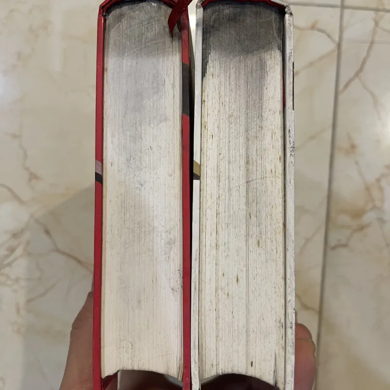 Shogun Tướng quân full bộ 2 tập  763116