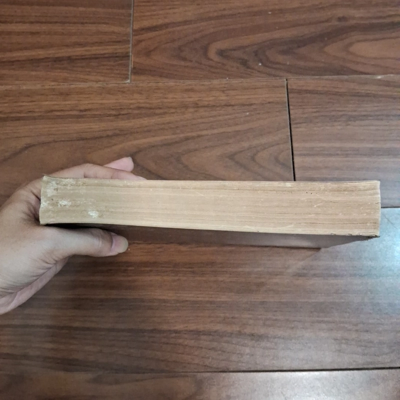 Cây đèn sắt 506762