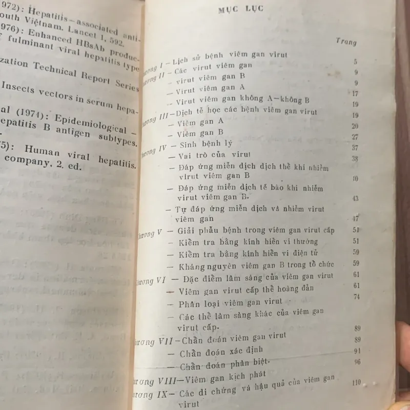 Viêm gan vi rút, Vũ Bằng Đình  622275