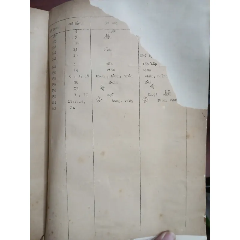 HOÀNG VIỆT THI TUYỂN 561528