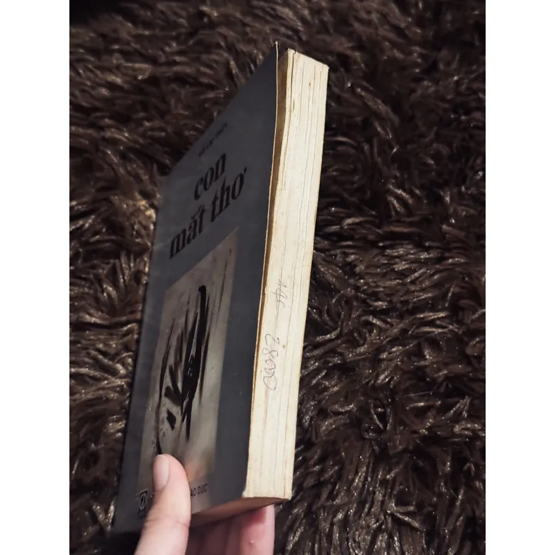 Con mắt thơ - Đỗ Lai Thuý 711336