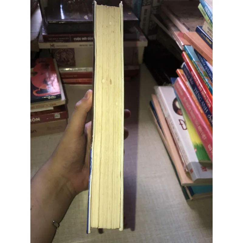 Từ Điển Văn Liệu - Long Điền Nguyễn Văn Minh  935192