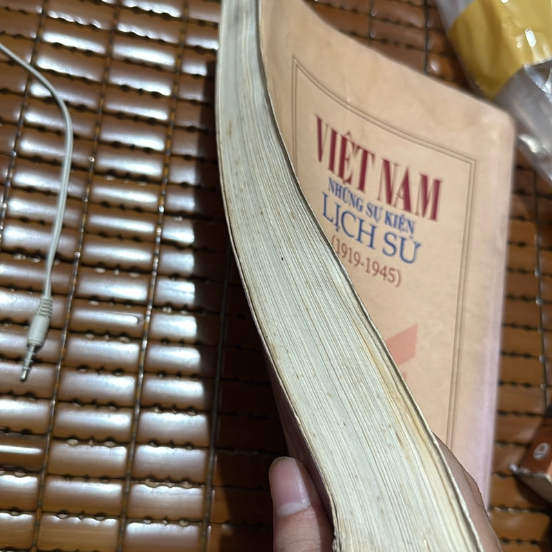 Việt Nam những sự kiện lịch sử 1919-1945 479508