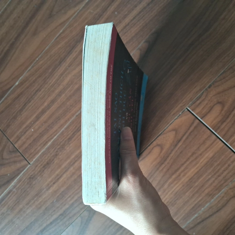 Tại sao đàn ông thích tình dục, phụ nữ cần tình yêu 552175