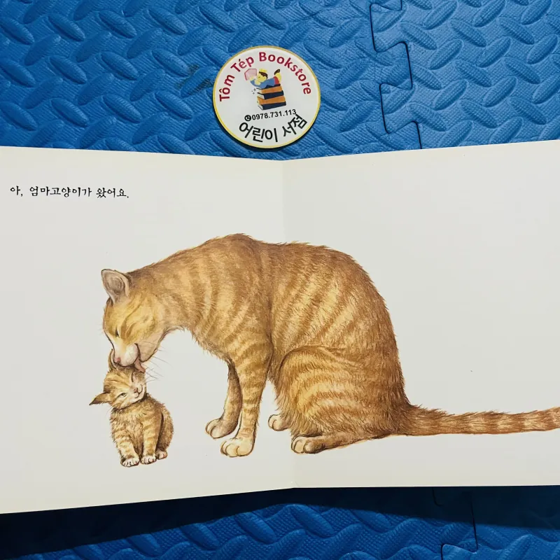 Set Boardbook tiếng Hàn B24 1001342