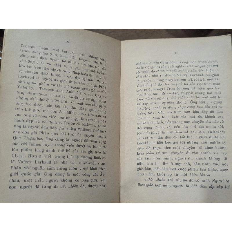 Tình yêu và tuổi trẻ - Valery larbaud ( bản dịch Huỳnh Phan Anh ) 999879