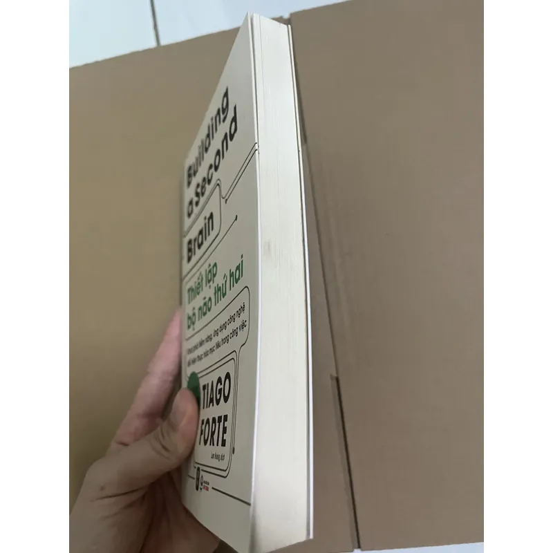 Thiết lập bộ não thứ hai - Tiago Forte 729041