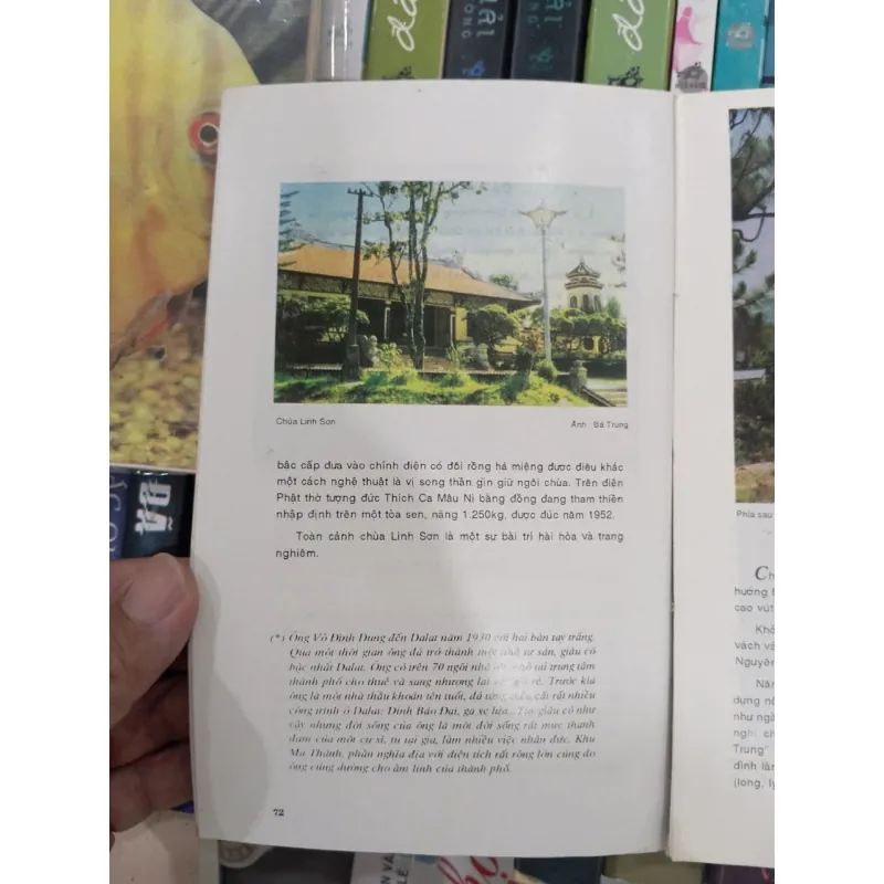 Đà Lạt LangBiang _ Võ Lệ Hồng 977240