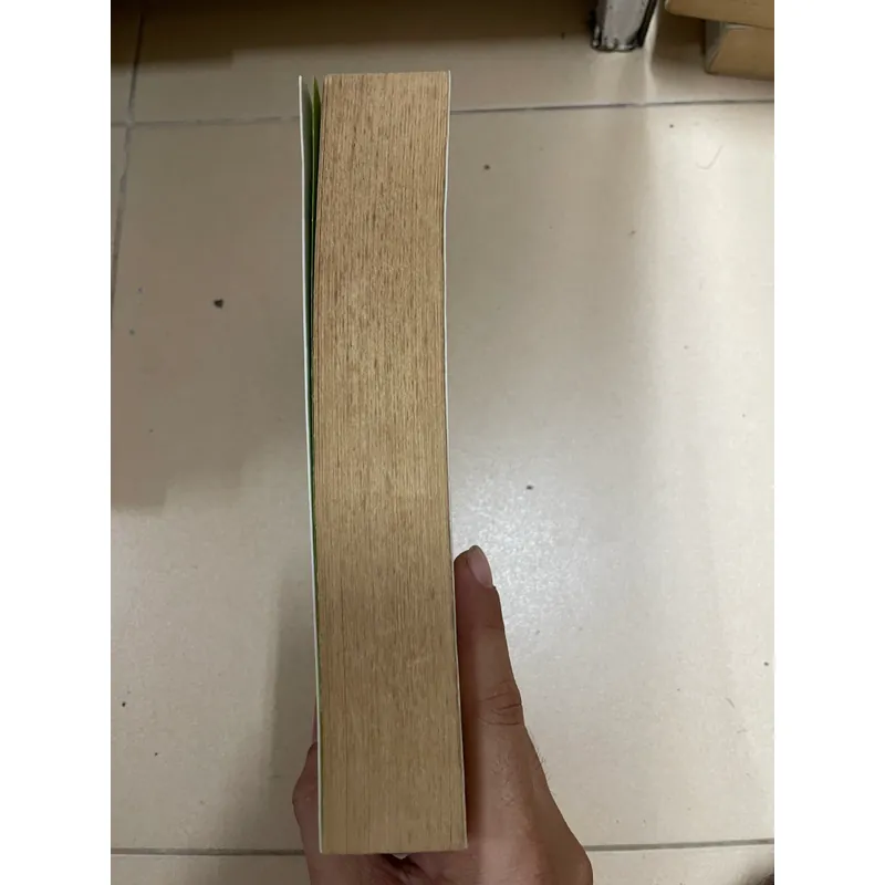 HOA TƯ DẪN - Đường Thất Công Tử (c43) 553258