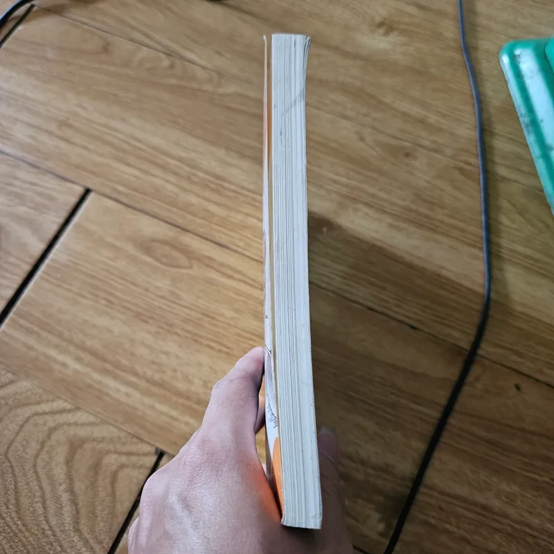 Clementine and the spring trip
 739568