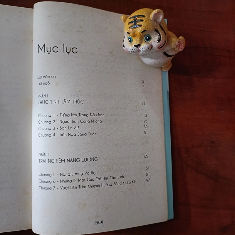 Cởi trói linh hồn - Michael A. Singer 479706