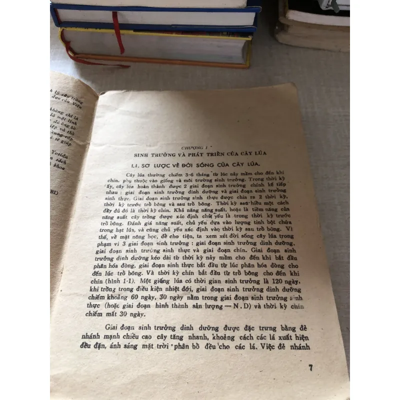 Những kiến thức cơ bản của khoa học trồng lúa 975867